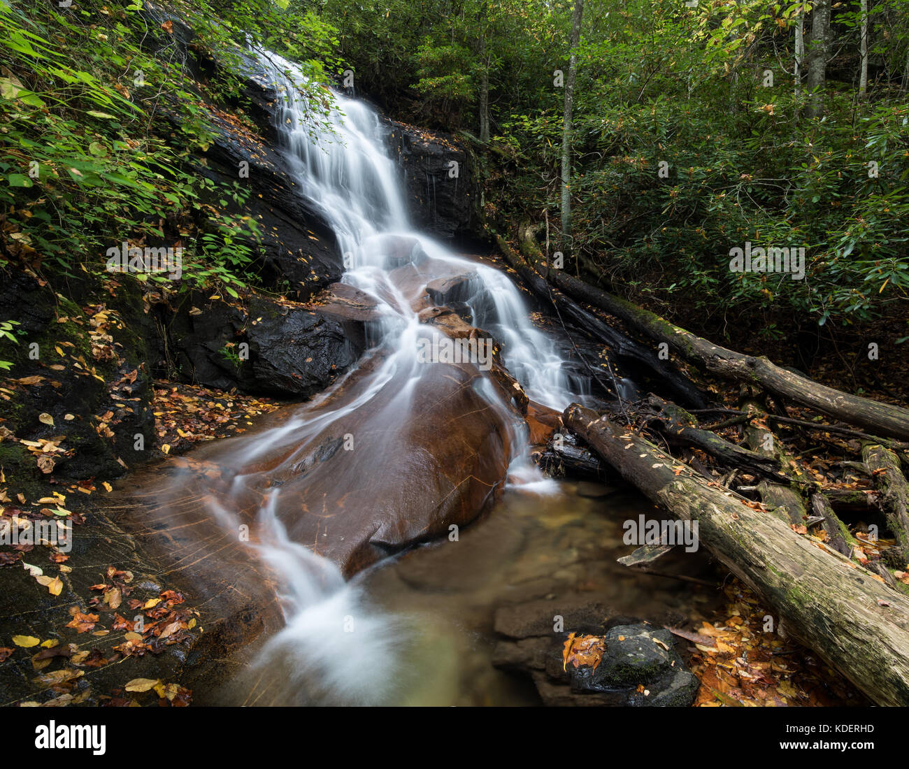 Log Hollow Falls is a beautifully cascading 25 ft. high waterfall in the Pisgah National Forest in Transylvania County.  While being relatively easy to get to, they are not frequently visited relative to other waterfalls in the area.  They are about 1/2 mile down FS5043 which is an old logging road.  The hike in is very easy, and you will generally see plentiful wildflowers unless you are visiting in the colder months.  The falls themselves have smoothed down the bedrock at the bottom of the falls, in which thick veins of quartz are visible.  If you observe closely in the stream, you will see  Stock Photo