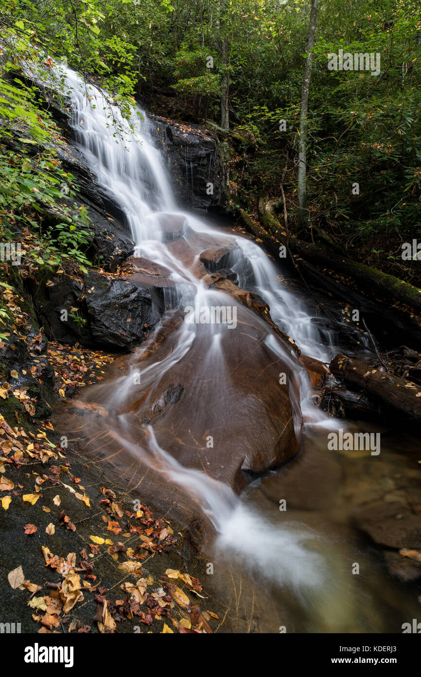 Log Hollow Falls is a beautifully cascading 25 ft. high waterfall in the Pisgah National Forest in Transylvania County.  While being relatively easy to get to, they are not frequently visited relative to other waterfalls in the area.  They are about 1/2 mile down FS5043 which is an old logging road.  The hike in is very easy, and you will generally see plentiful wildflowers unless you are visiting in the colder months.  The falls themselves have smoothed down the bedrock at the bottom of the falls, in which thick veins of quartz are visible.  If you observe closely in the stream, you will see  Stock Photo
