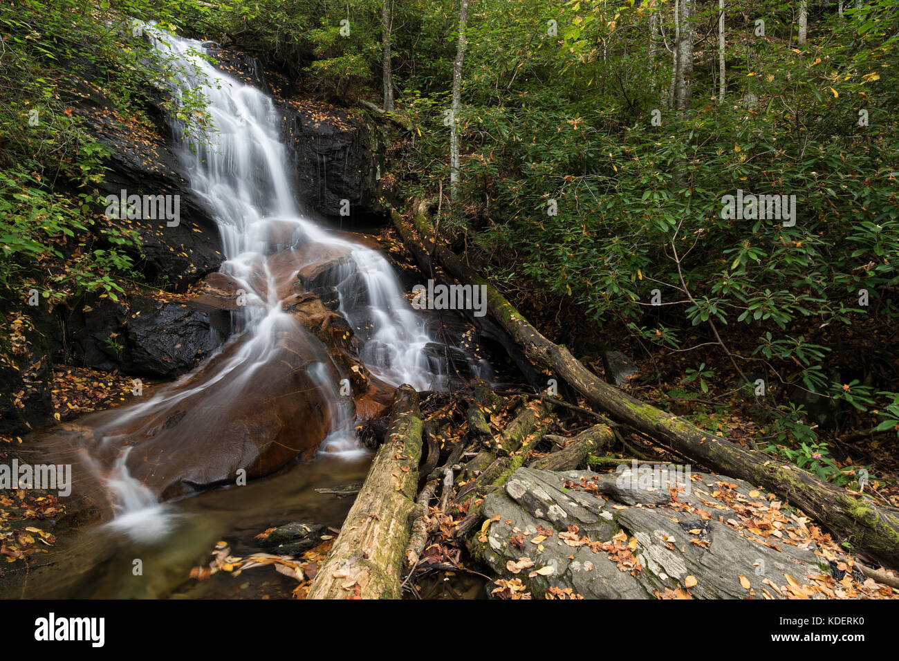 Log Hollow Falls is a beautifully cascading 25 ft. high waterfall in the Pisgah National Forest in Transylvania County.  While being relatively easy to get to, they are not frequently visited relative to other waterfalls in the area.  They are about 1/2 mile down FS5043 which is an old logging road.  The hike in is very easy, and you will generally see plentiful wildflowers unless you are visiting in the colder months.  The falls themselves have smoothed down the bedrock at the bottom of the falls, in which thick veins of quartz are visible.  If you observe closely in the stream, you will see  Stock Photo