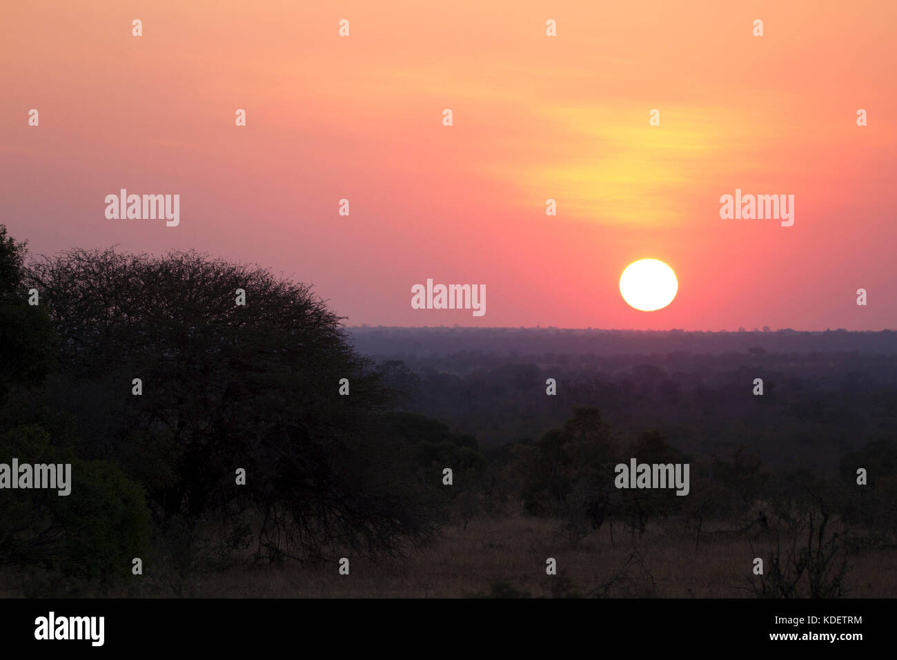 African Sunset, Kruger National Park, South Africa Stock Photo