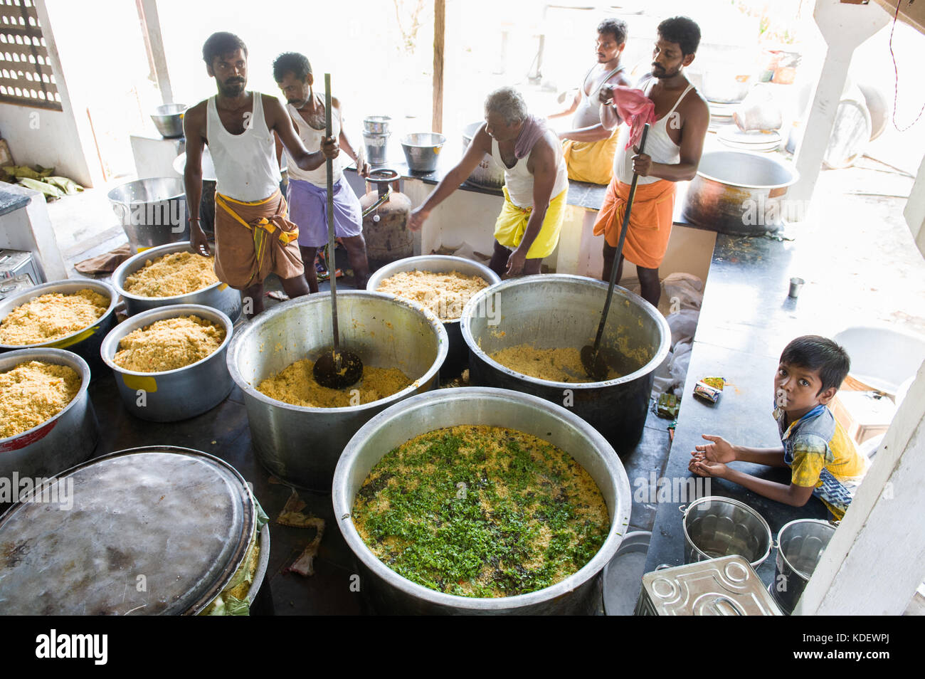 Making lunch for 5000 women during the 21st Annual Women's Solidarity Festival at AVAG. An event with 5000 women from the Bio-region of Auroville Stock Photo