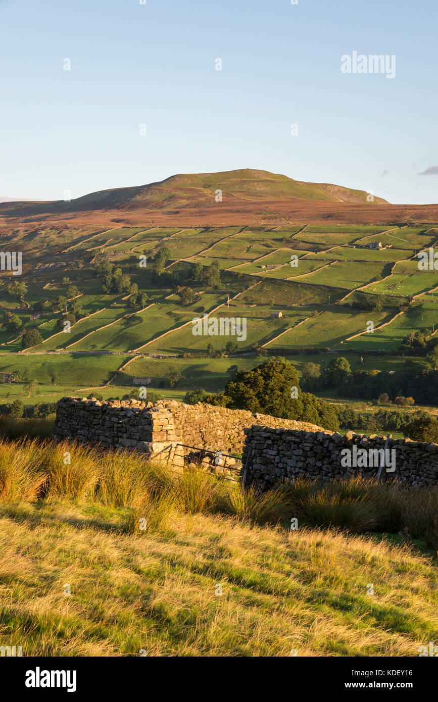 Beautiful September morning near Reeth in Swaledale, Yorkshire Dales national park, England. Stock Photo