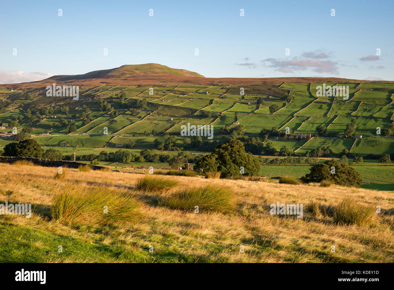 Beautiful September morning near Reeth in Swaledale, Yorkshire Dales national park, England. Stock Photo