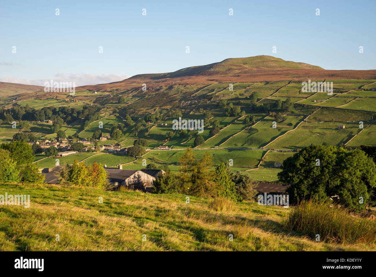 Calver Hill and Healaugh village near Reeth in Swaledale, Yorkshire Dales, England. A sunny September morning. Stock Photo