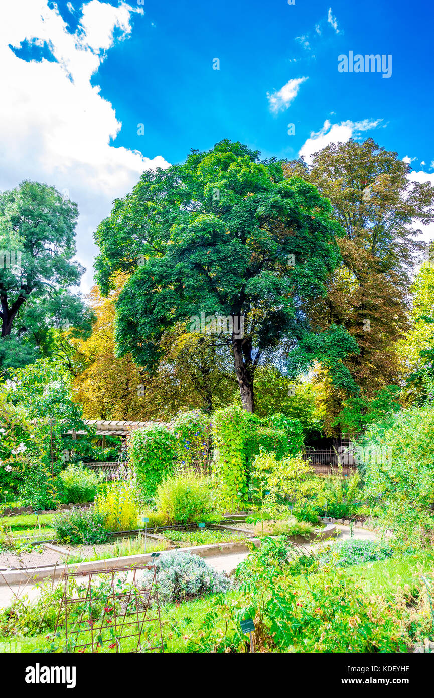 Jardin des plantes in Paris, France Stock Photo - Alamy