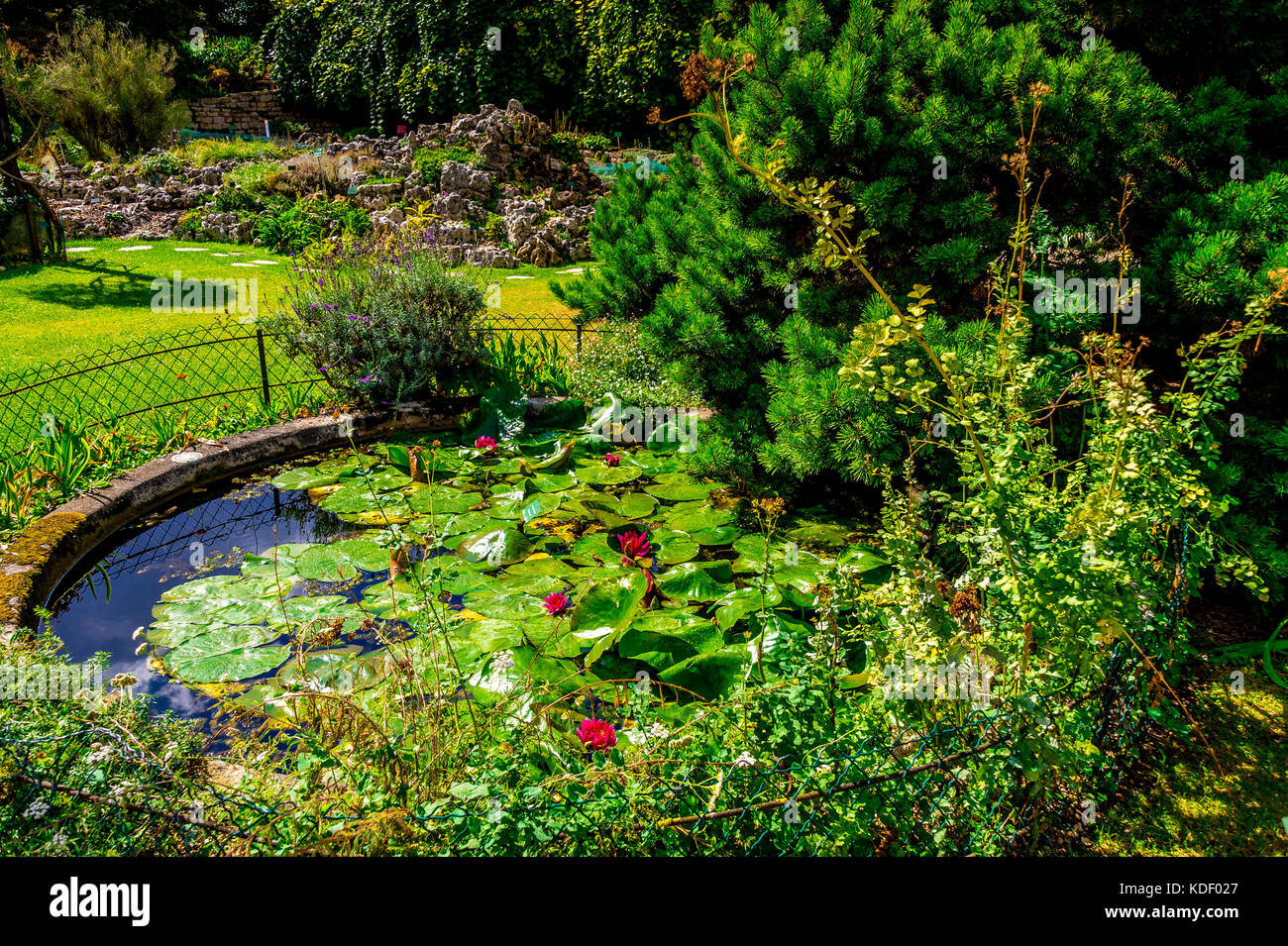 The hidden Alpine Garden in the Jardin des plantes in Paris, France Stock Photo