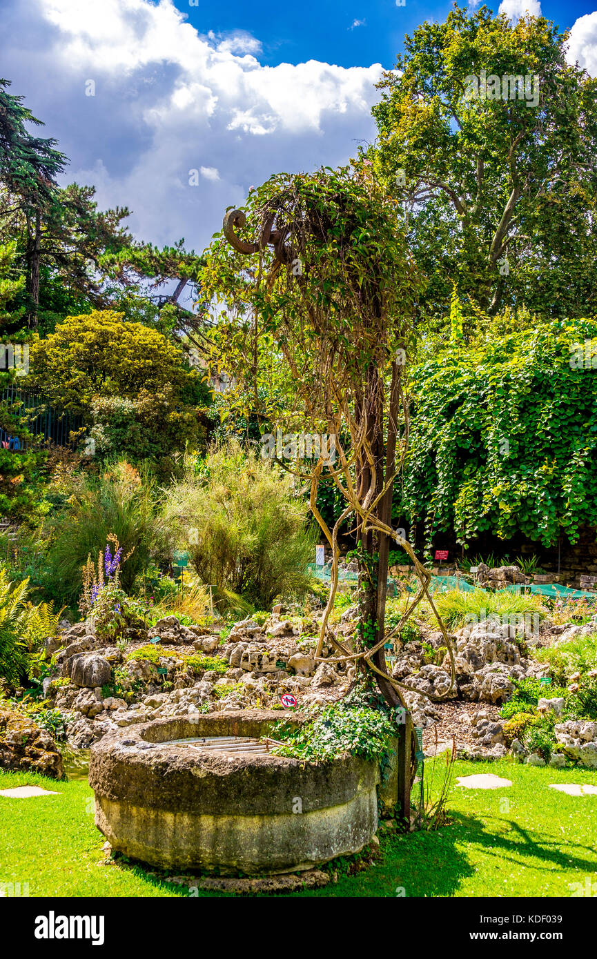 The hidden Alpine Garden in the Jardin des plantes in Paris, France Stock Photo