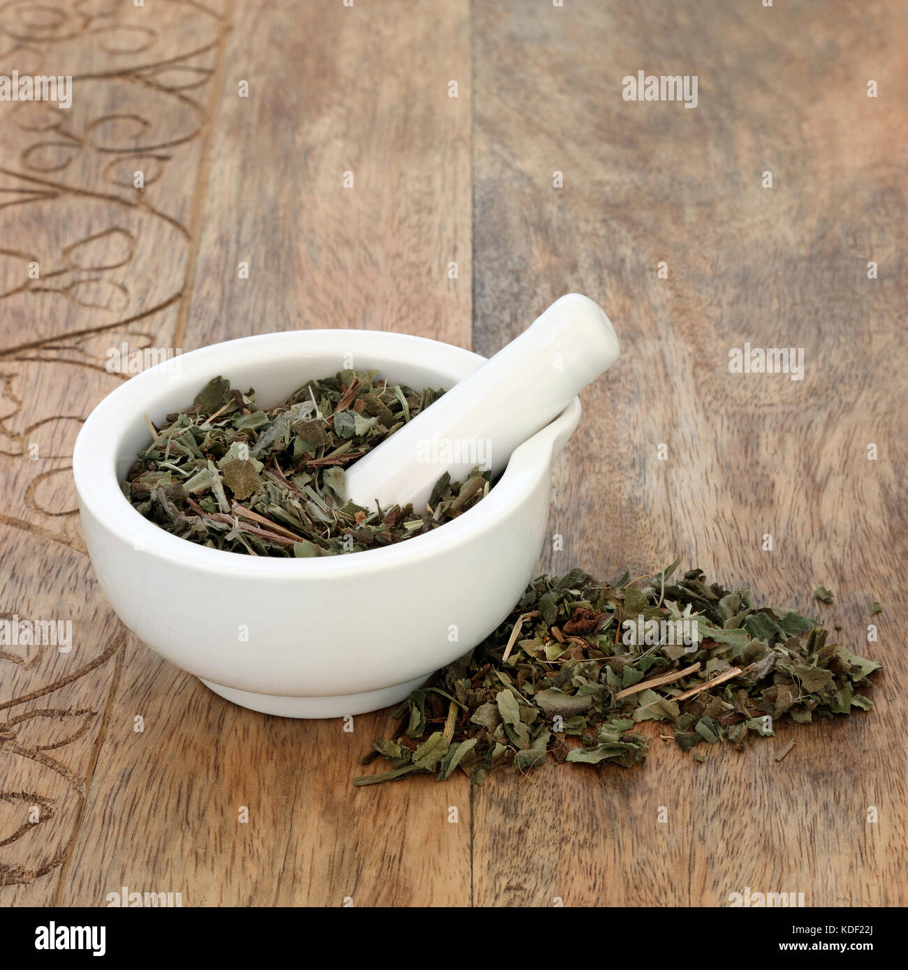 Lungwort leaf herb used in alternative herbal medicine to treat