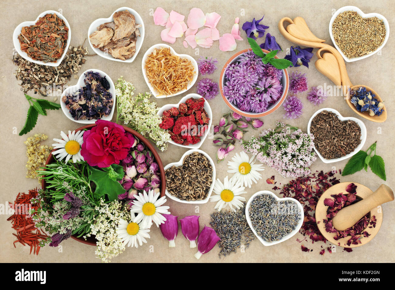 Medicinal herbs and flowers used in herbal medicine, homeopathic and