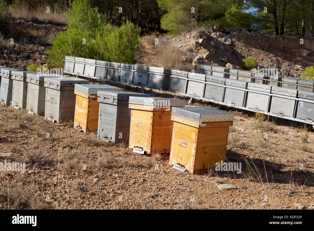 Bee hives laid out in rows in the countryside Stock Photo