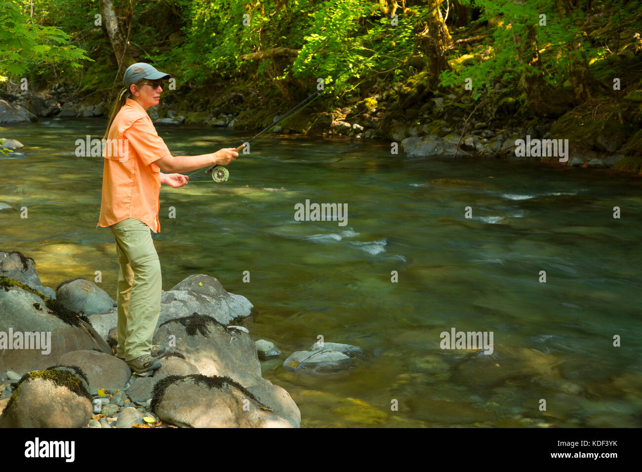 Flyfishing in Duckabush River, Olympic National Forest, Washington Stock Photo
