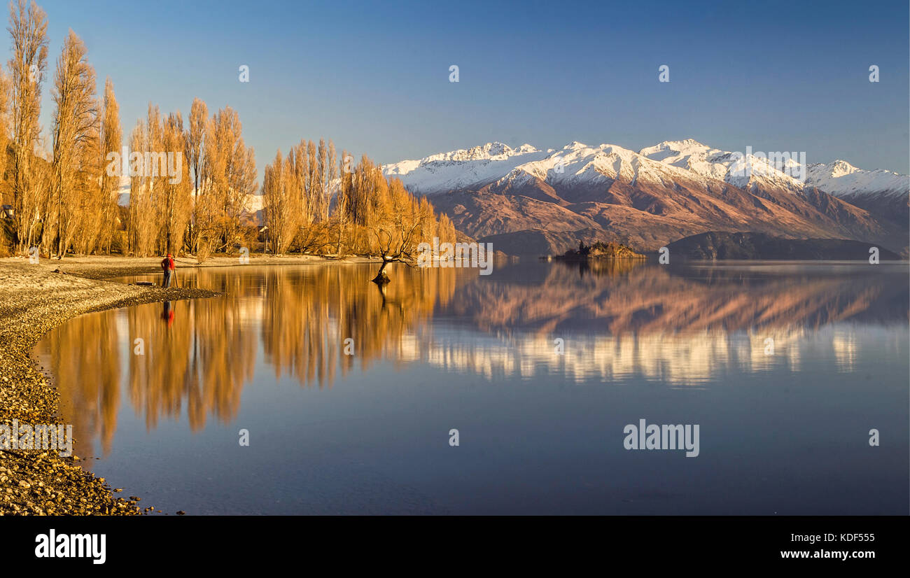 Lake Wanaka, Otago, South Island, New Zealand with the Willow 'Lonely' tree. Its the move famous lakes of the South Island. Stock Photo
