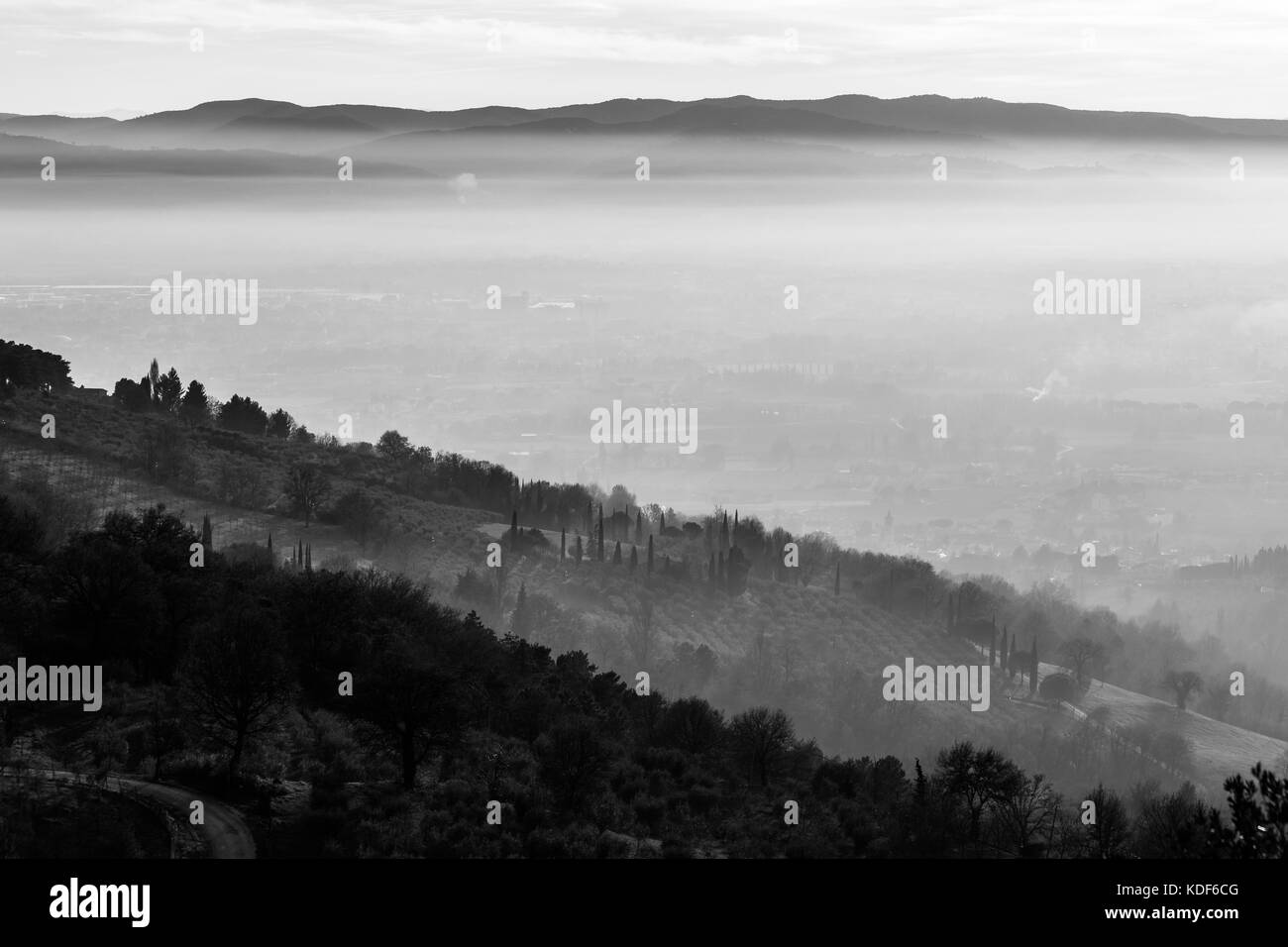 A valley filled by mist, with hills and trees in the foreground Stock Photo