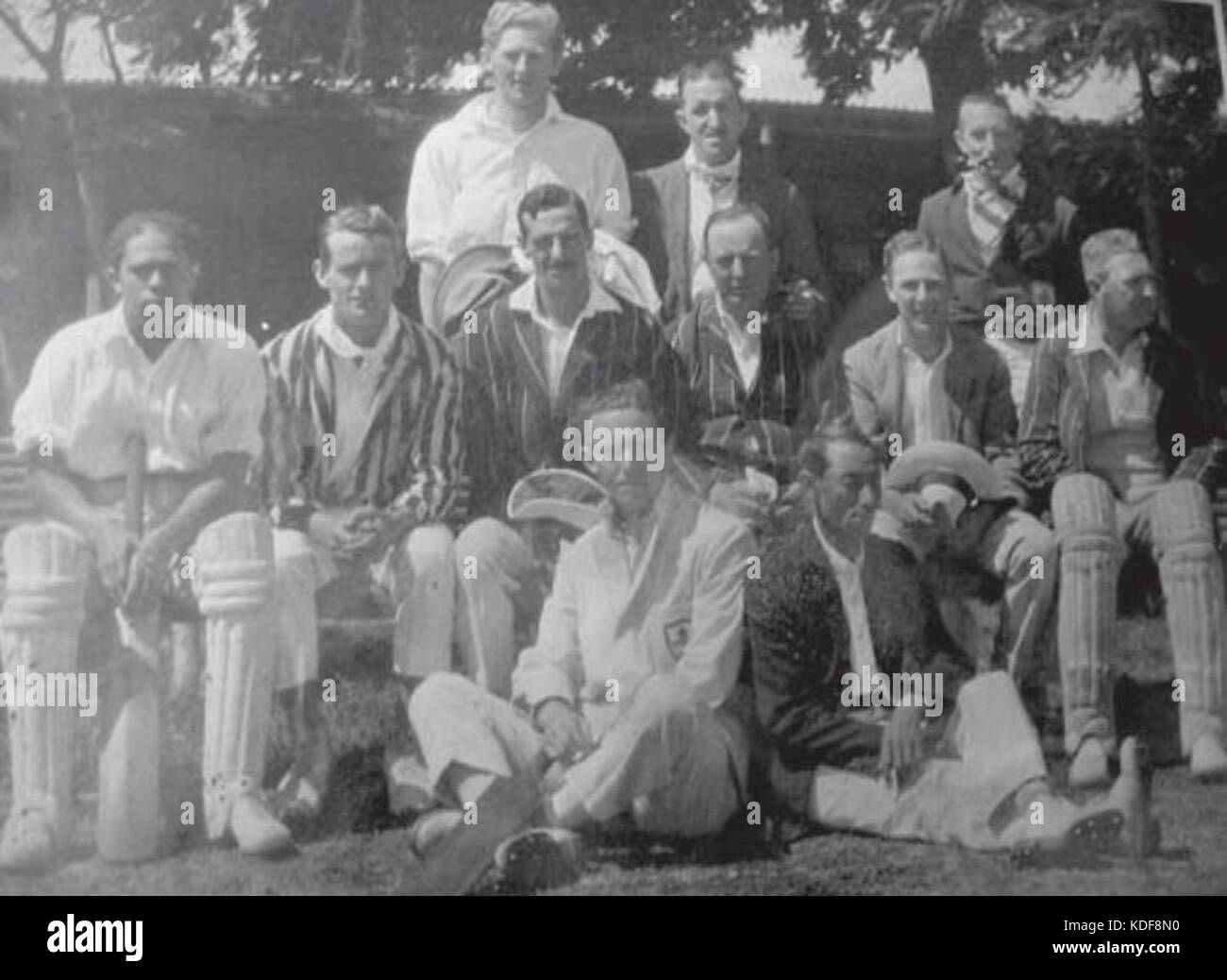 Pacific cricket 1909 Stock Photo Alamy