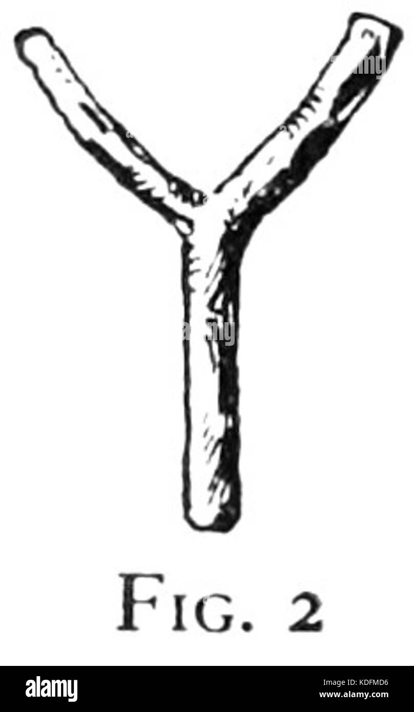 Japanese flower arrangement p042 2 Stock Photo Alamy