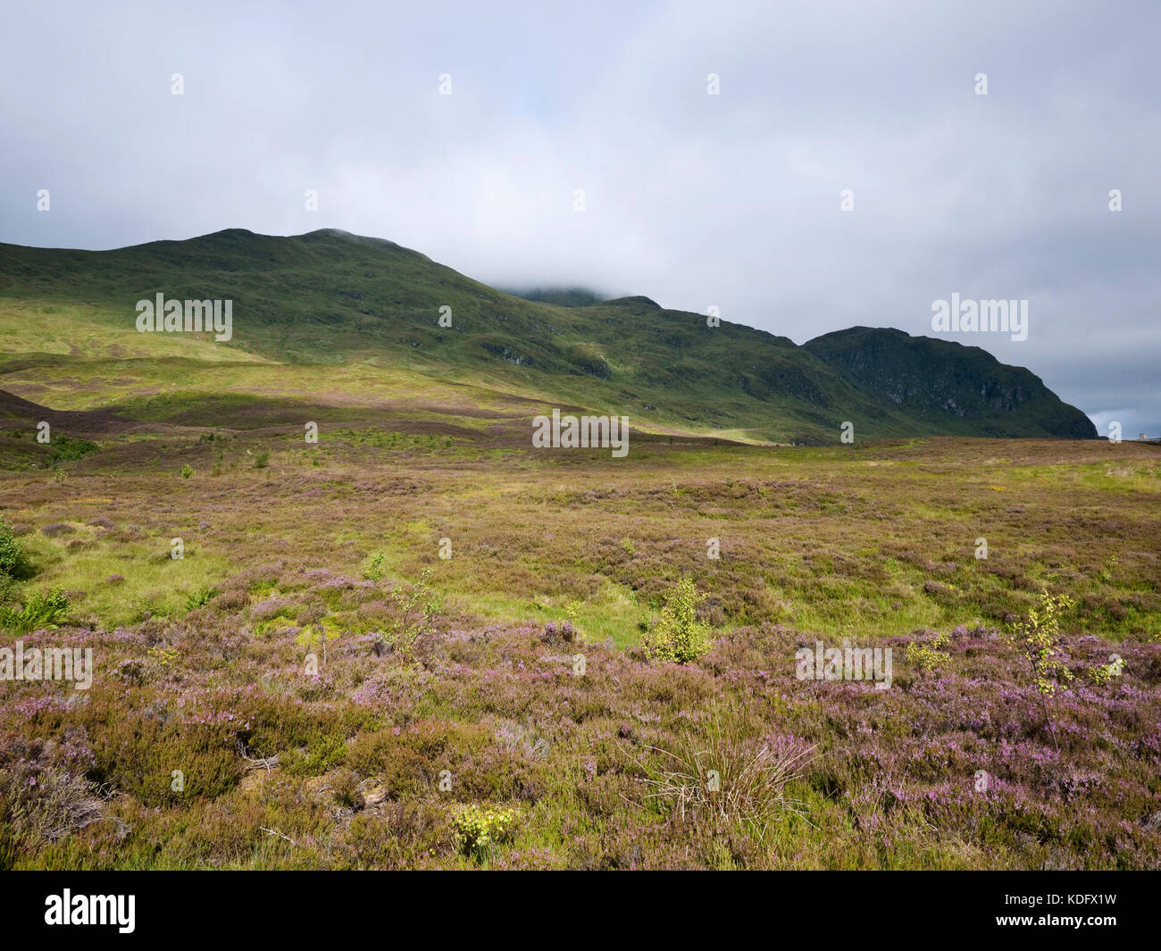 Meall nan Tarmachan, a munro (Scottish mountain over 3000ft) in Perthshire Stock Photo