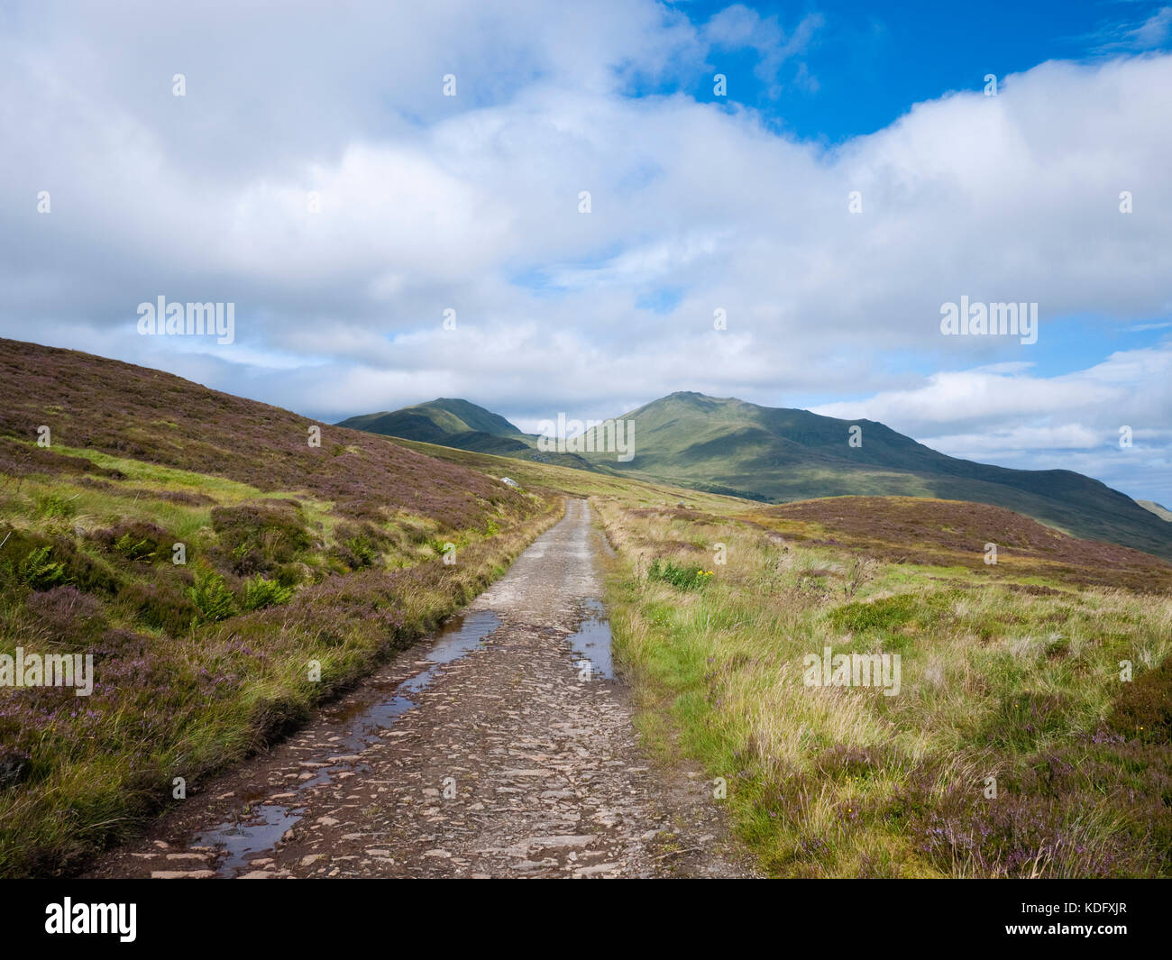View to the Ben Lawers range with Meall Corranaich (L) and Beinn Ghlas (R) rising over heather moorland, Perthshire, Scotland Stock Photo