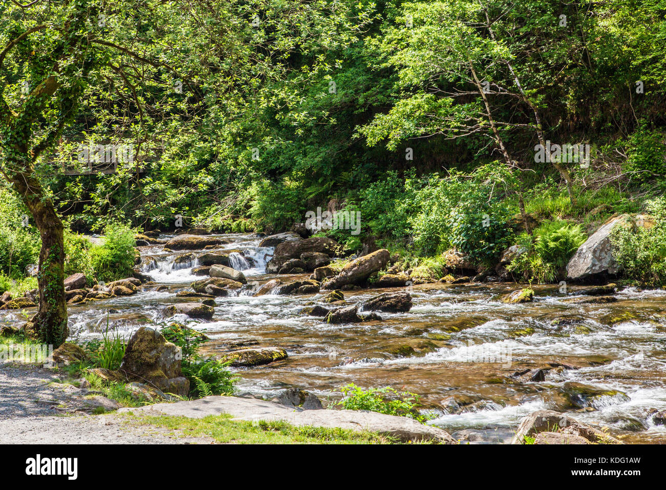 The River Lyn (East) along the path towards Watersmeet near Lynmouth, north Devon, England, UK Stock Photo