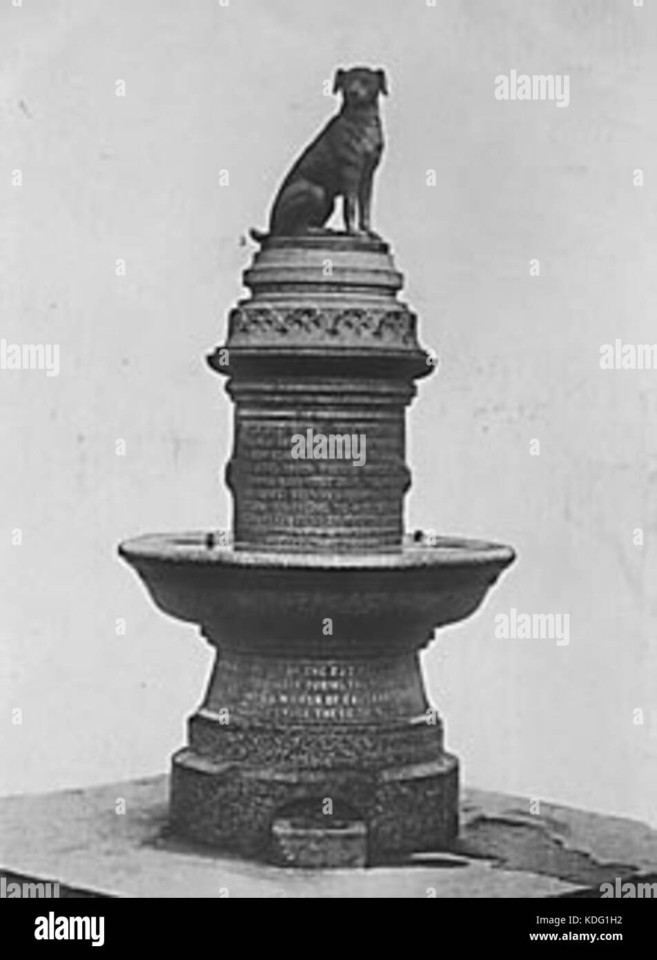 Original brown dog statue Stock Photo Alamy