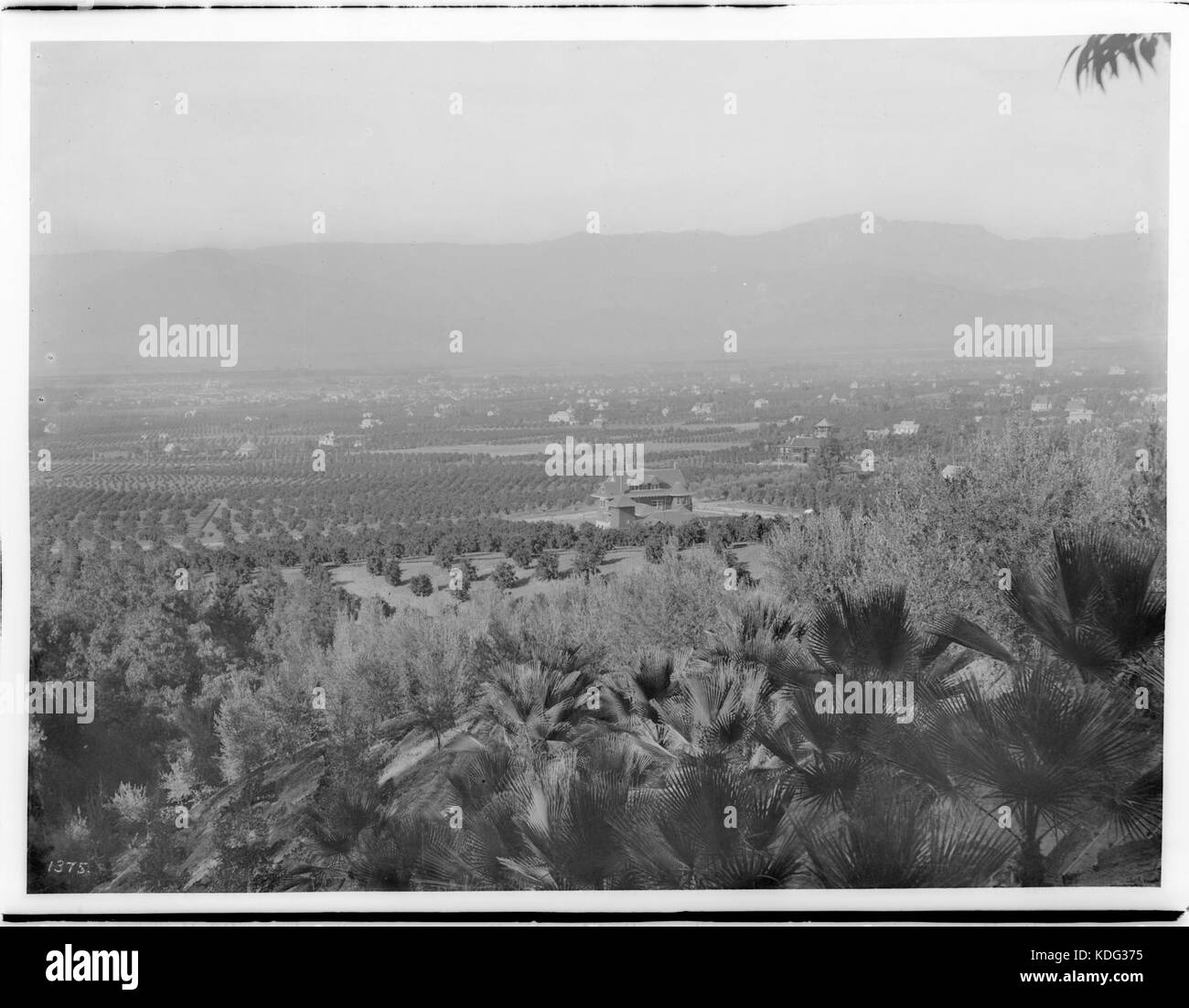 Redlands, views from Smiley Heights, ca.1908 (CHS 1375 Stock Photo Alamy