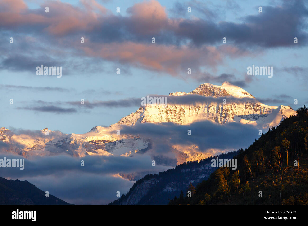 Bernese Oberland at sunset - the Jungfrau from Unterseen, Interlaken, Switzerland Stock Photo