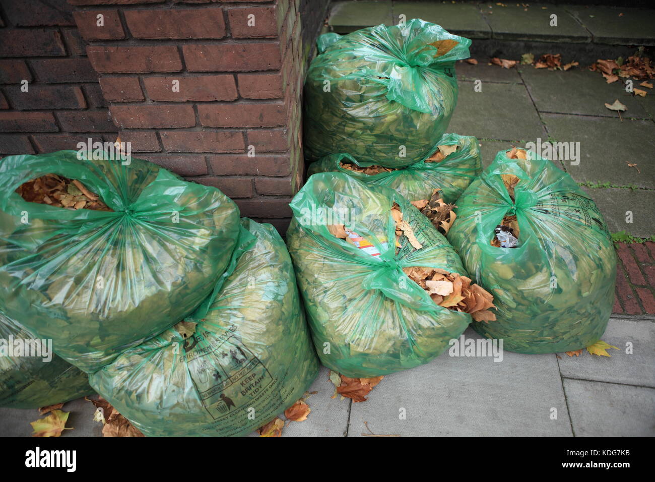 Bags of leaves. Transparent bag with foliage. Cleaning in yard in autumn.  13848259 Stock Photo at Vecteezy