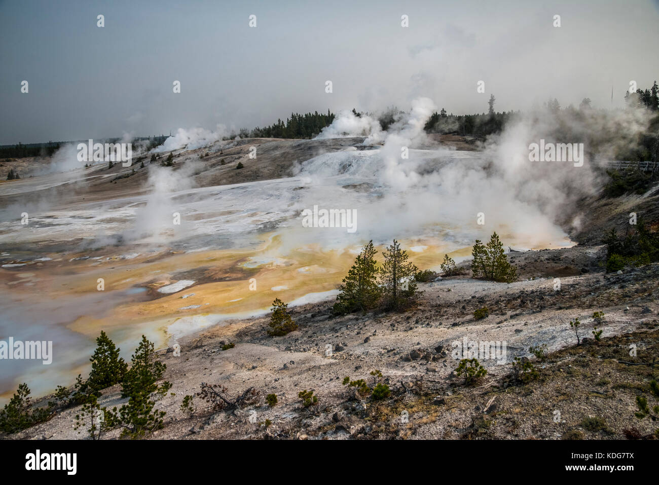 Geo-thermal landscape scenery at Norris Geyser Basin in West Yellowstone National Park Stock Photo