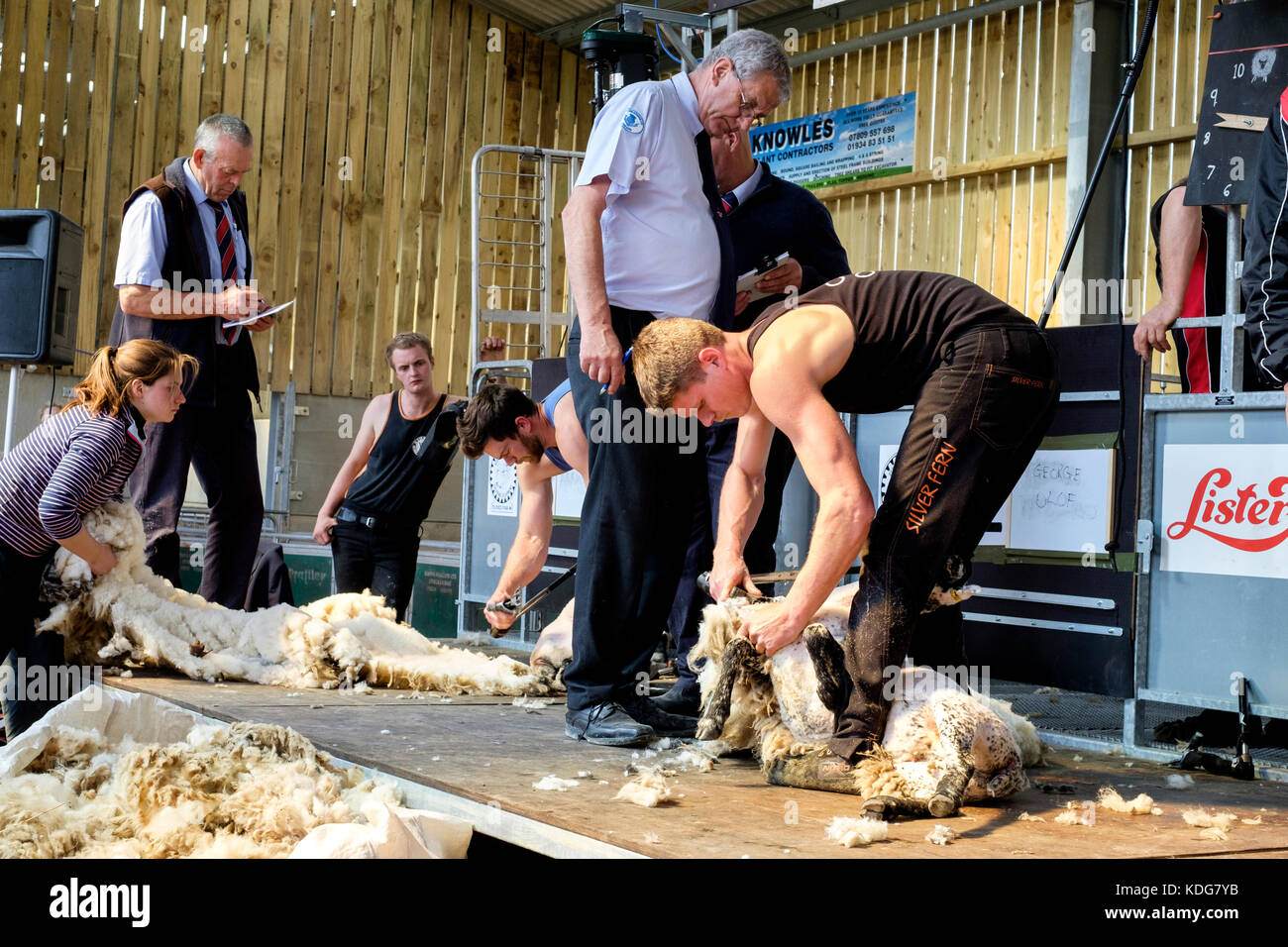 Sheep Shearing contest North Somerset Agricultural Show Stock Photo