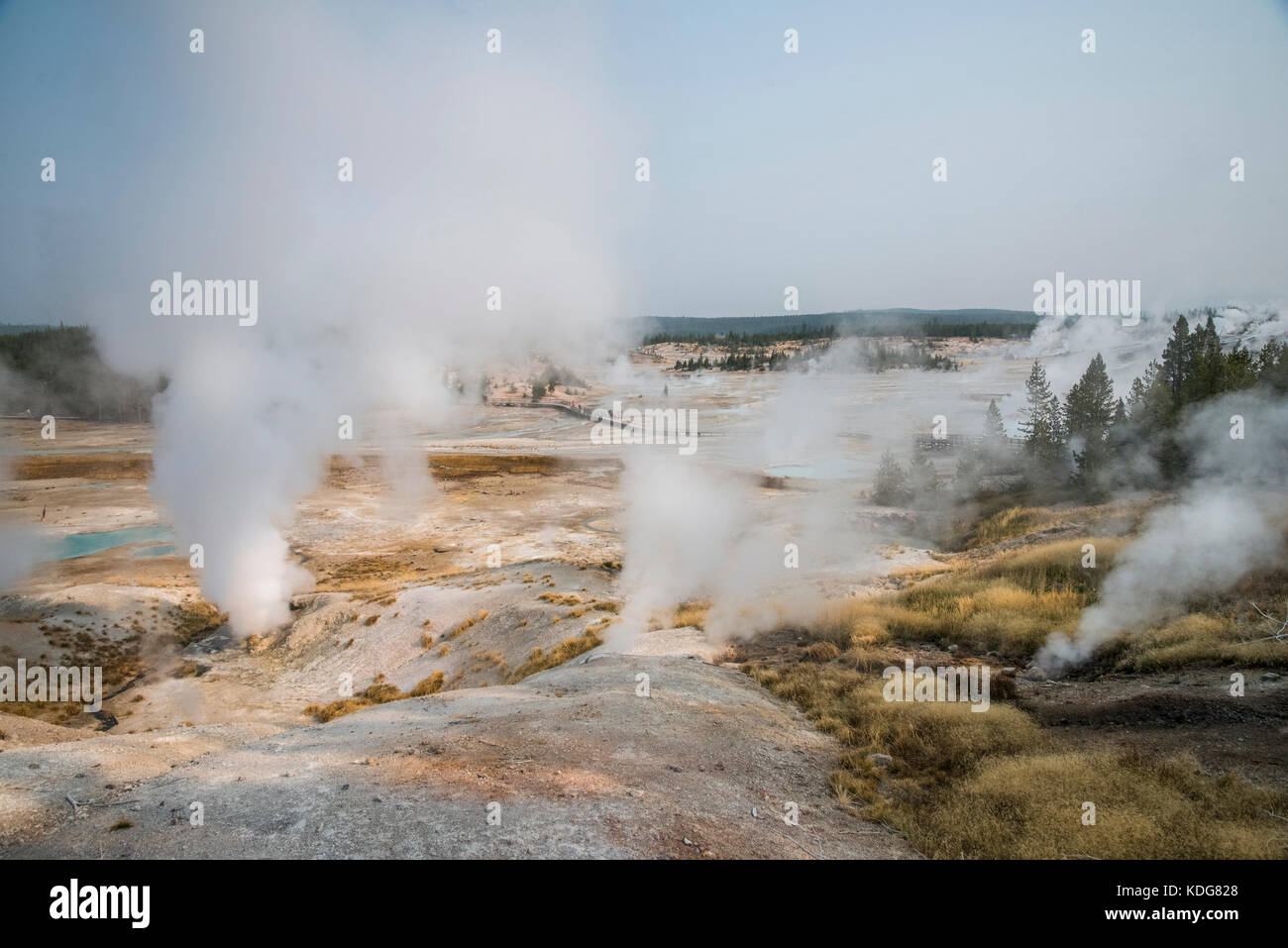 Geo-thermal landscape scenery at Norris Geyser Basin in West Yellowstone National Park Stock Photo