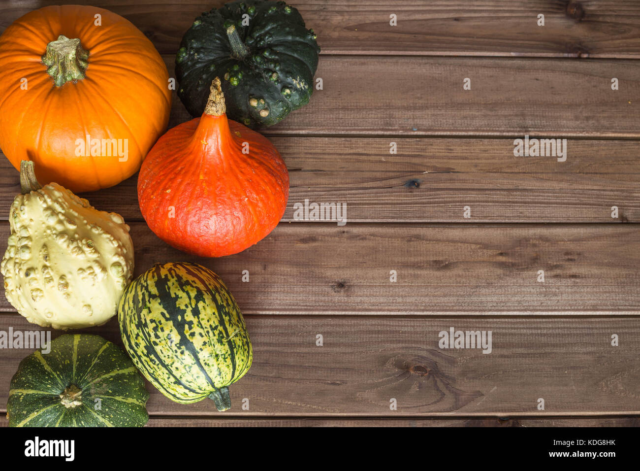 Pumpkins Different Types Good For Eat And Decorative With Place