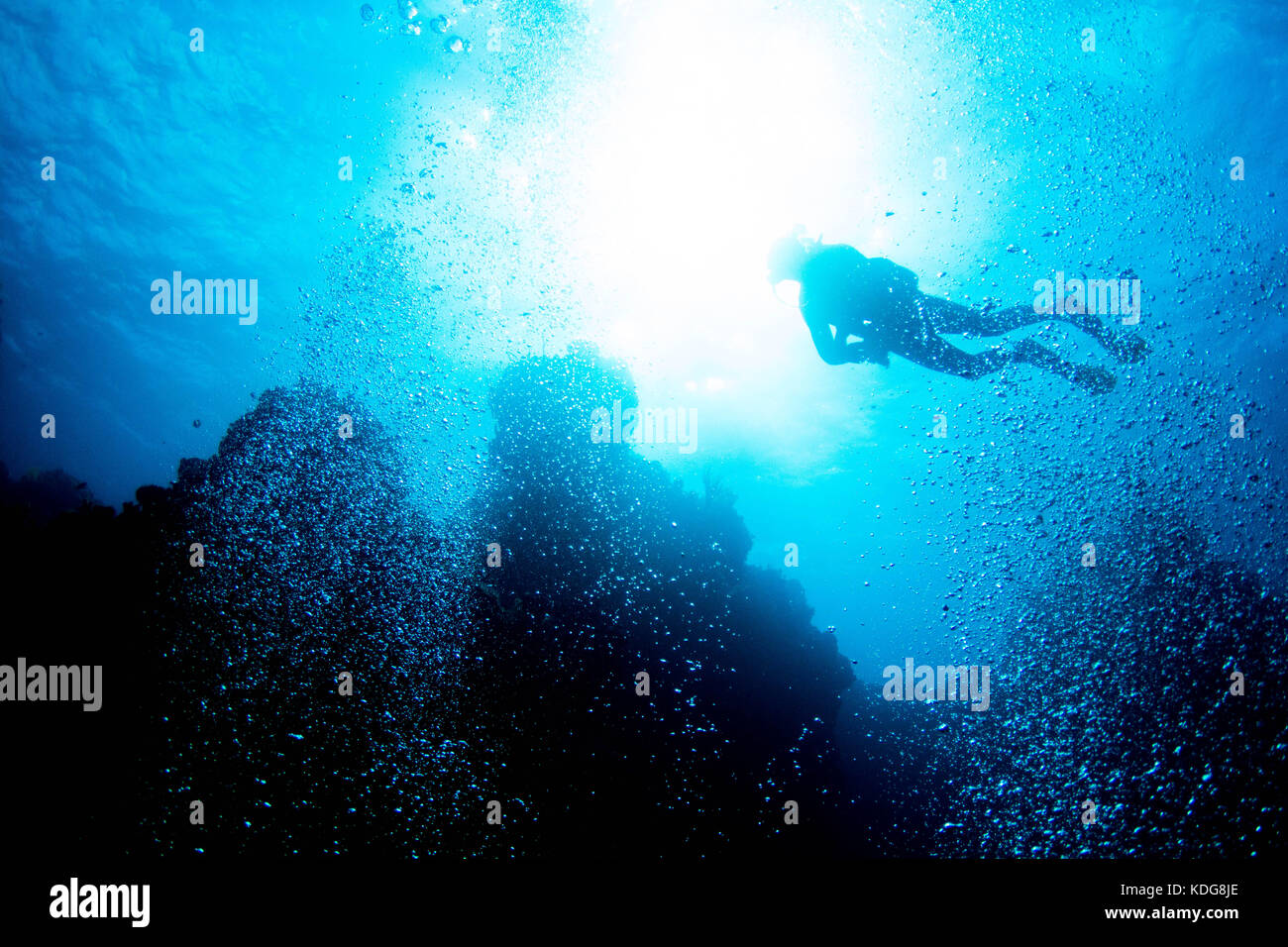 Diver From Underneath Stock Photo