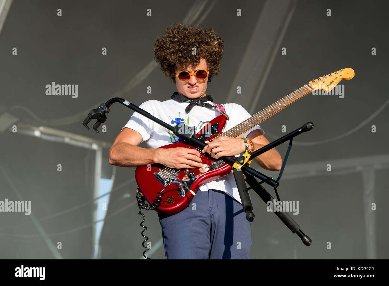 Ron gallo hires stock photography and images Alamy