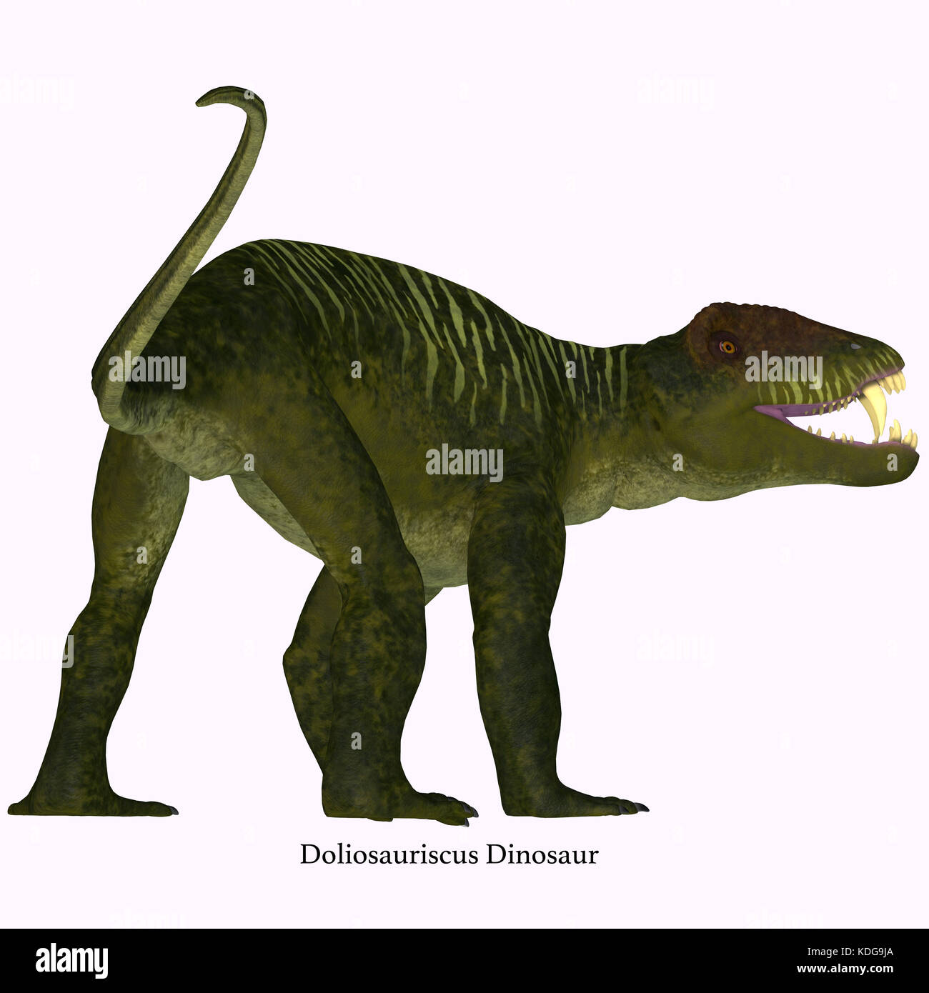 Doliosauriscus Dinosaur Tail - Doliosauriscus is an extinct genus of therapsid carnivorous dinosaur that lived in Russia in the Permian Period. Stock Photo