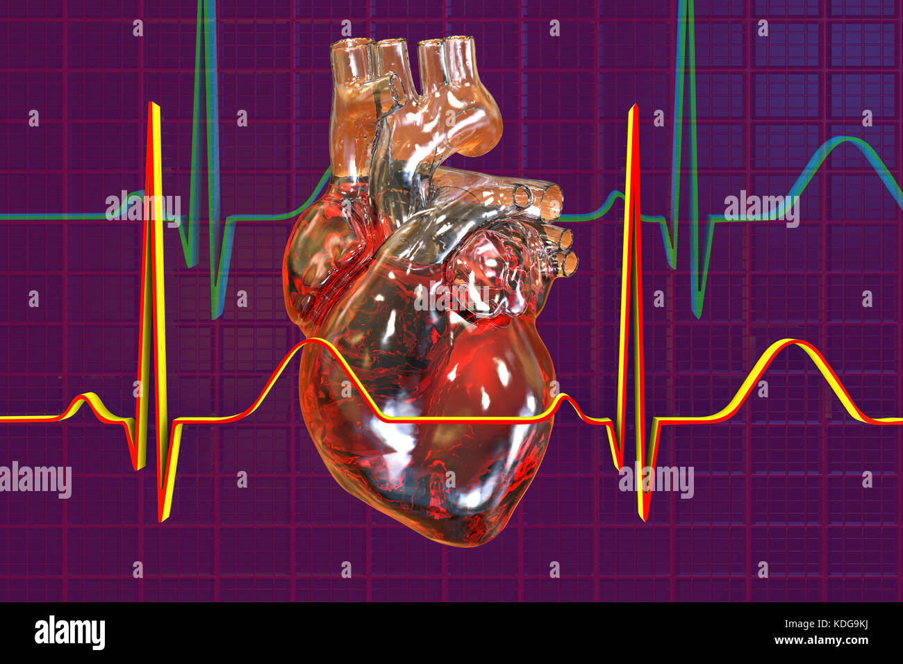 Computer illustration of the heart with coronary vessels and electrocardiogram (ECG). Stock Photo