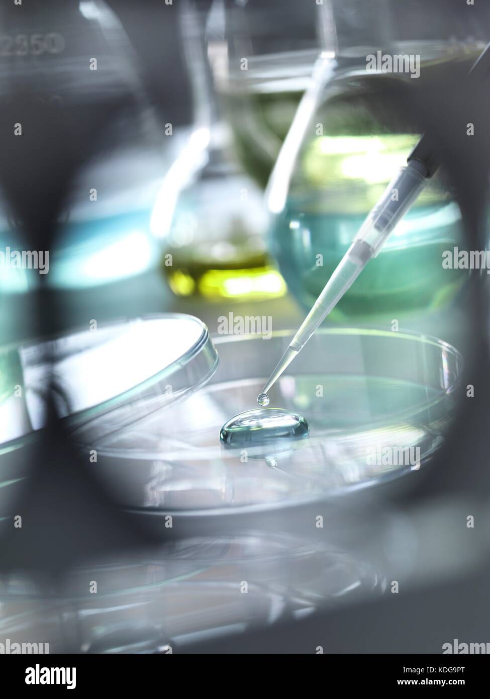 Pipette adding a solution to a sample during an experiment in the laboratory Stock Photo Alamy