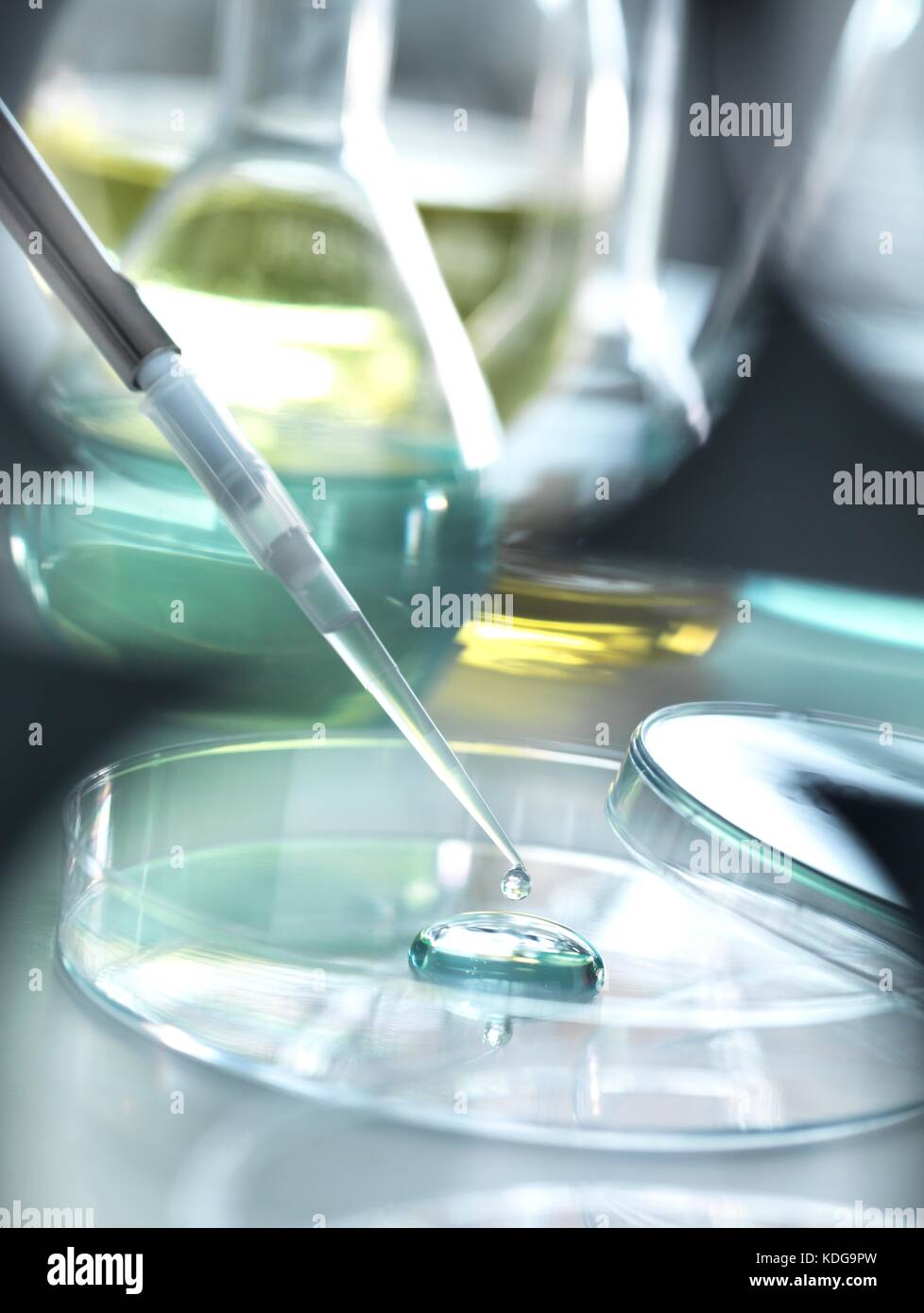 Pipette adding a solution to a sample during an experiment in the