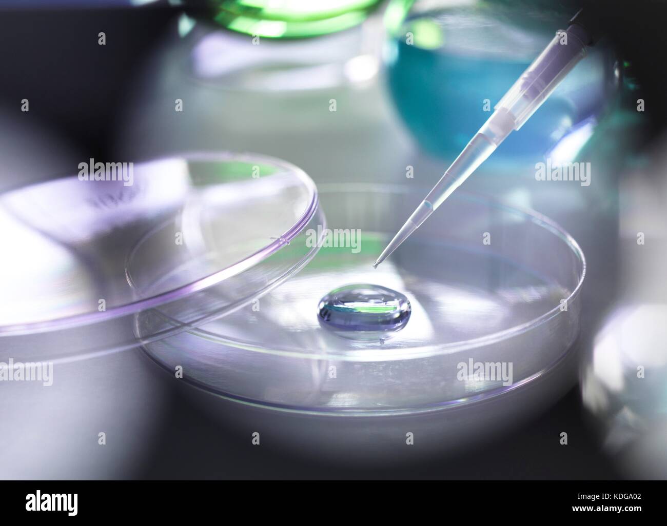 Pipette adding a solution to a sample during an experiment in the laboratory Stock Photo Alamy