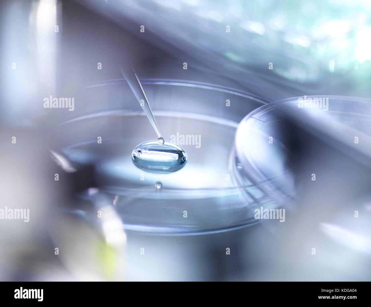 Pipette adding a solution to a sample during an experiment in the ...
