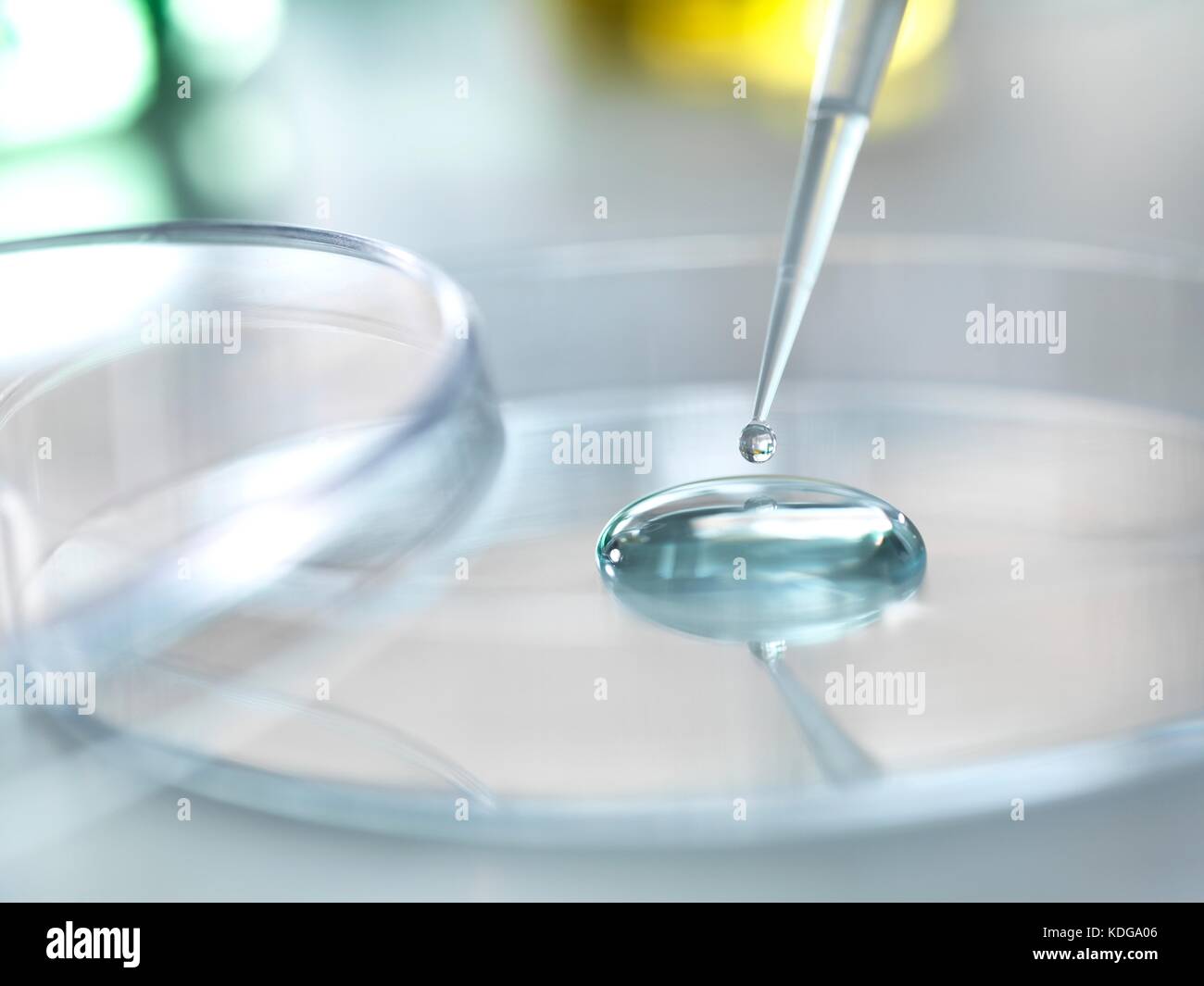 Pipette adding a solution to a sample during an experiment in the laboratory Stock Photo Alamy