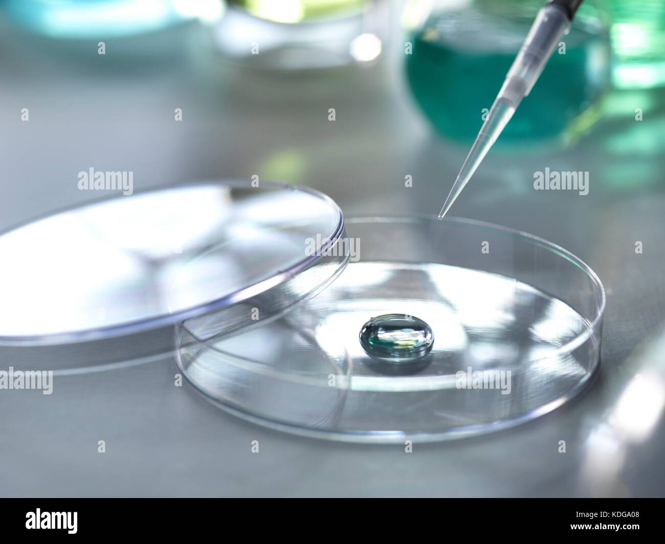 Pipette adding a solution to a sample during an experiment in the laboratory Stock Photo Alamy