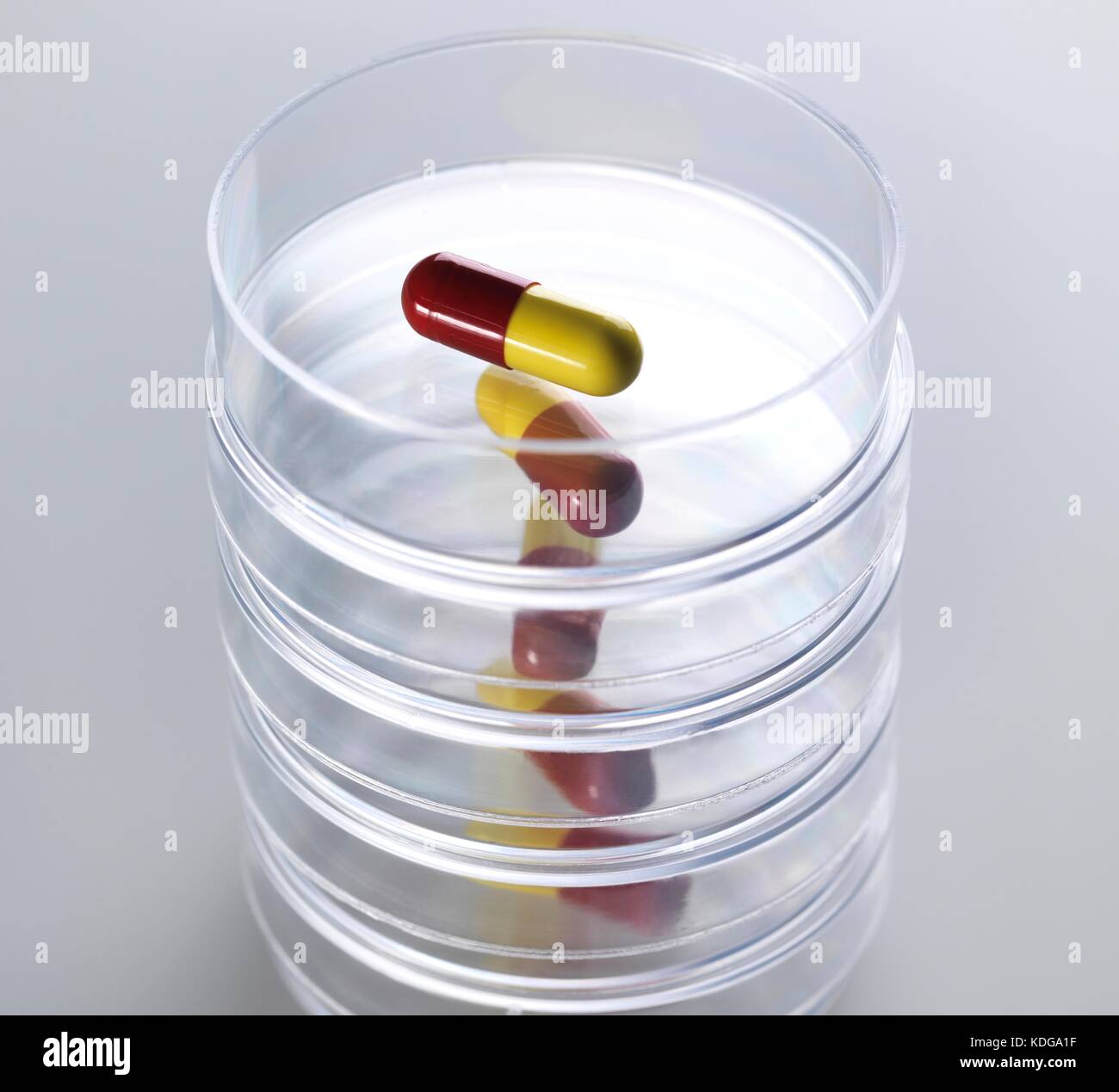 Pills in Petri dishes illustrating drug research and clinical testing. Stock Photo
