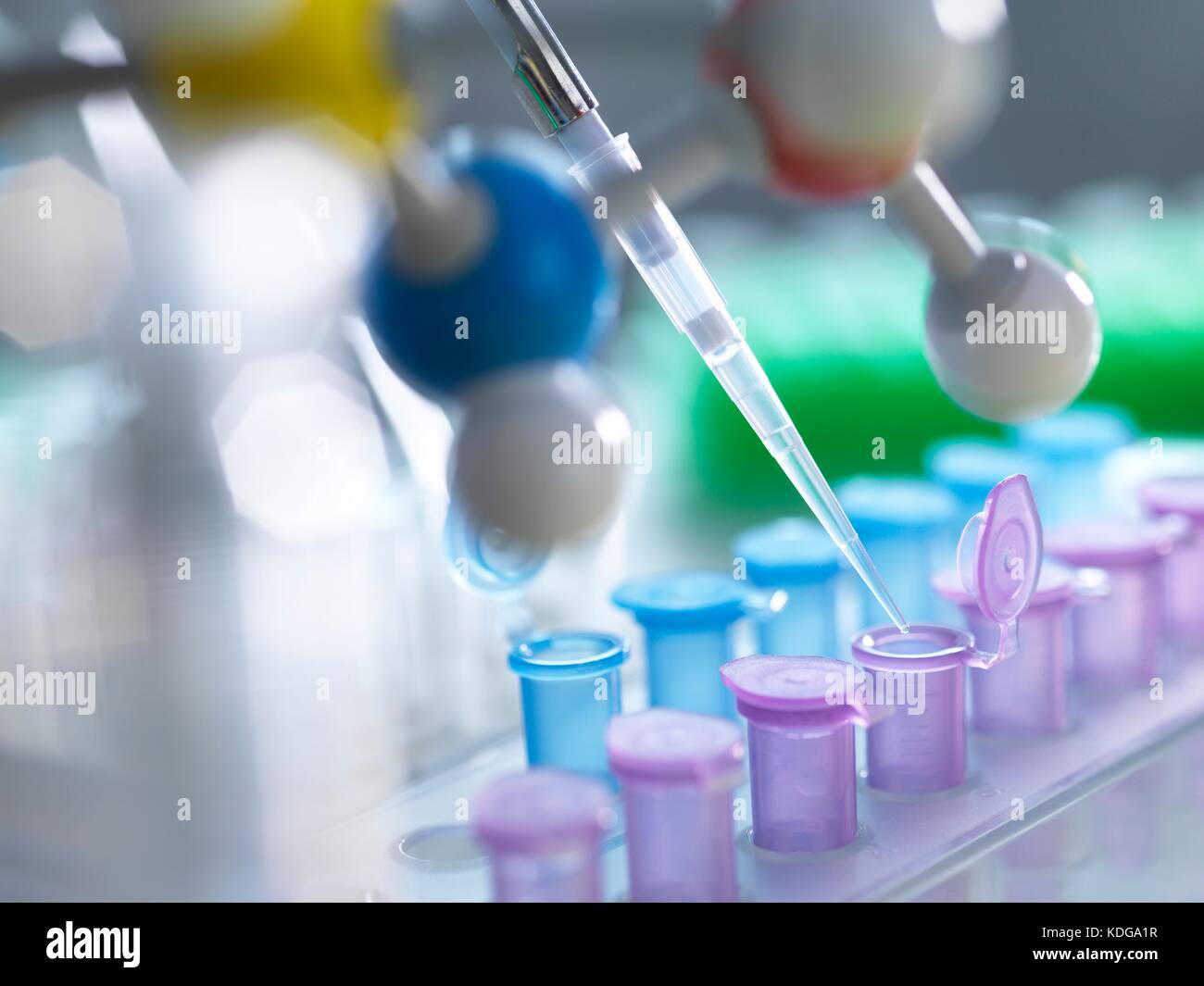 Pipetting samples into microcentrifuge tubes during an experiment in ...