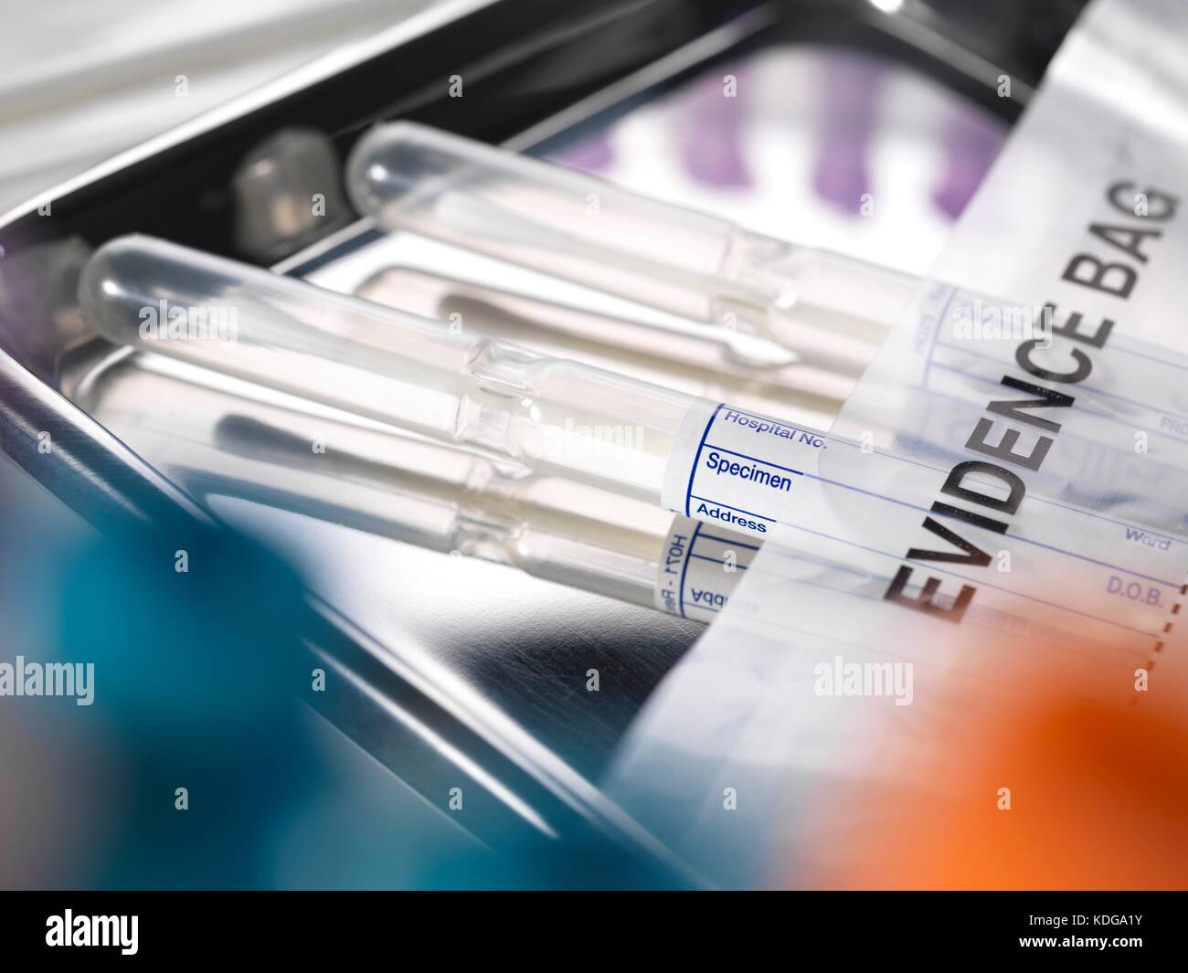 Police evidence bag containing DNA swabs. Stock Photo