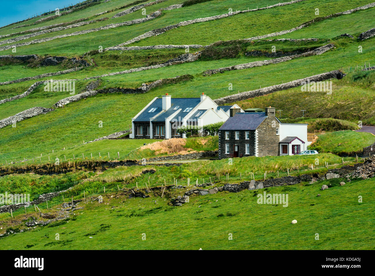 Stone fences with house Slea Head Drive. County Kerry, Ireland Stock Photo