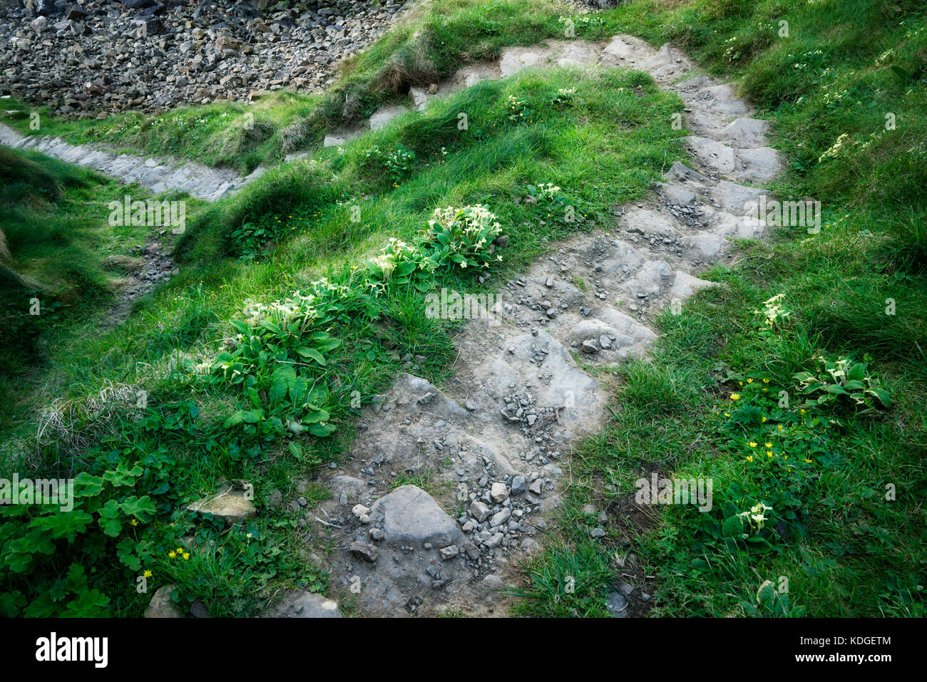 Stone path along Ulster Way Trail. Northern Ireland. Stock Photo