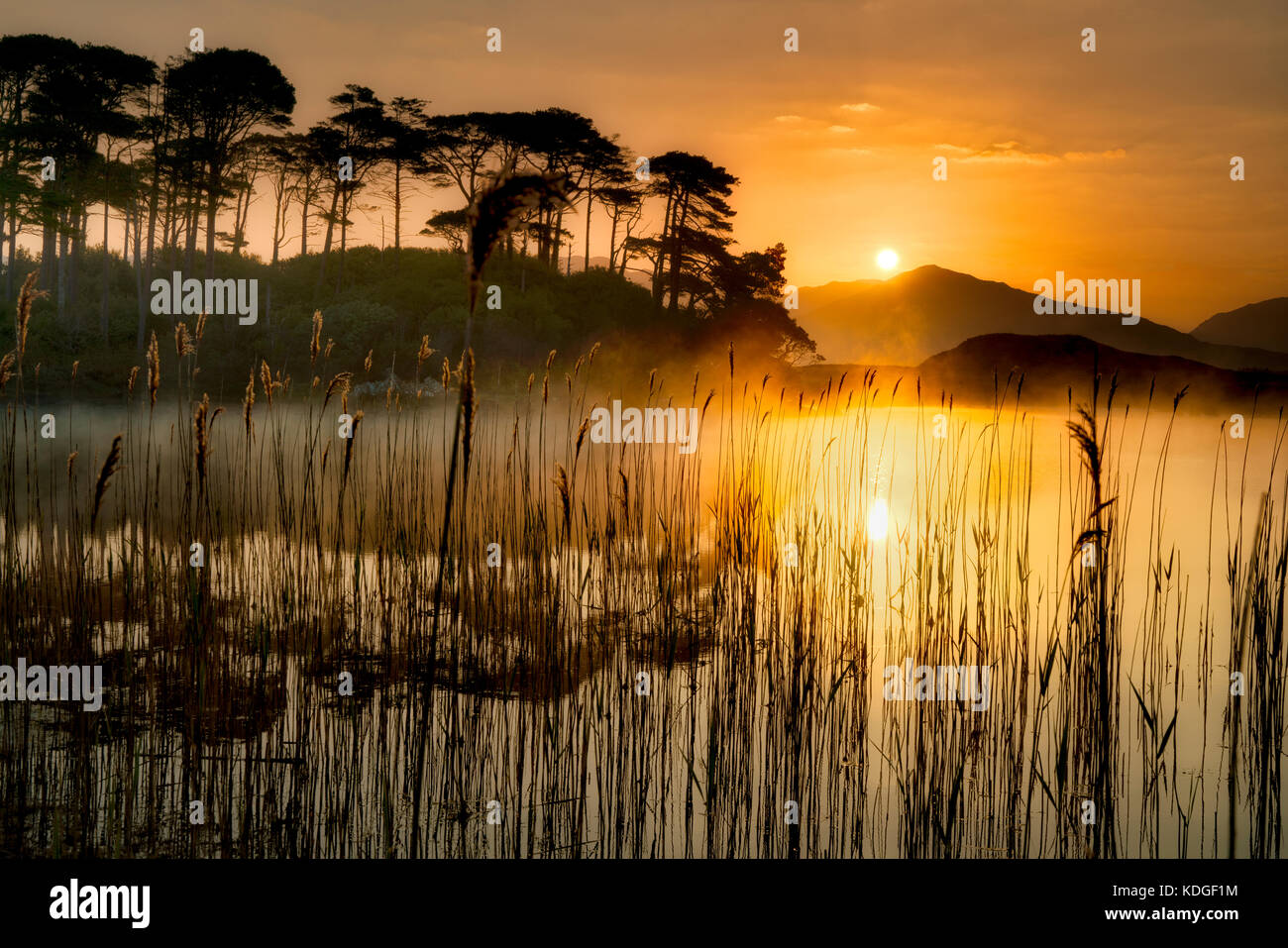 Sunrise on Derryclare Loch/lake with some of the 12 Ben Mountains and edge reeds. County Galway, Connemara, Ireland Stock Photo