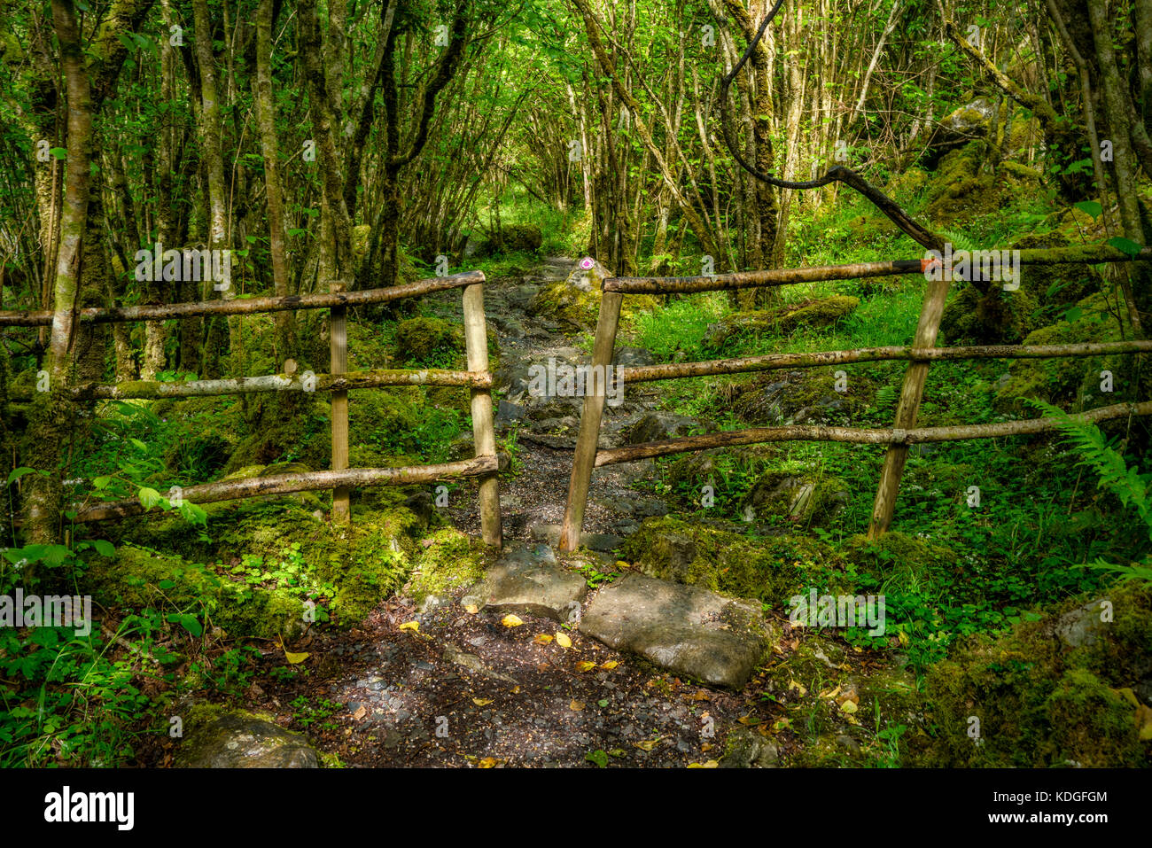 Trail and fence in Lough Avalla Farm Loop trail. The Burren, County Clare, Ireland Stock Photo
