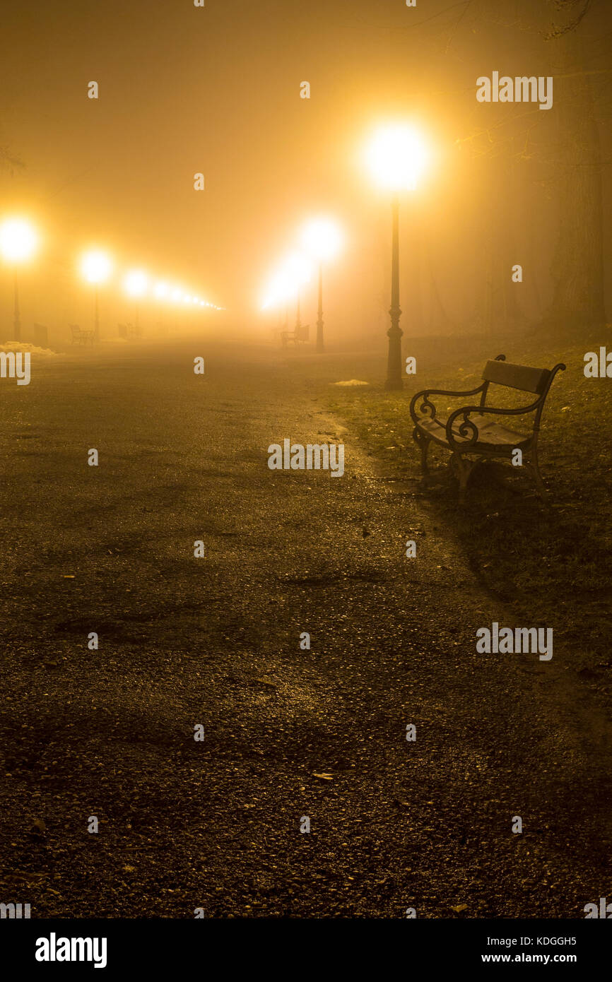 Fog and park at night hi-res stock photography and images - Alamy