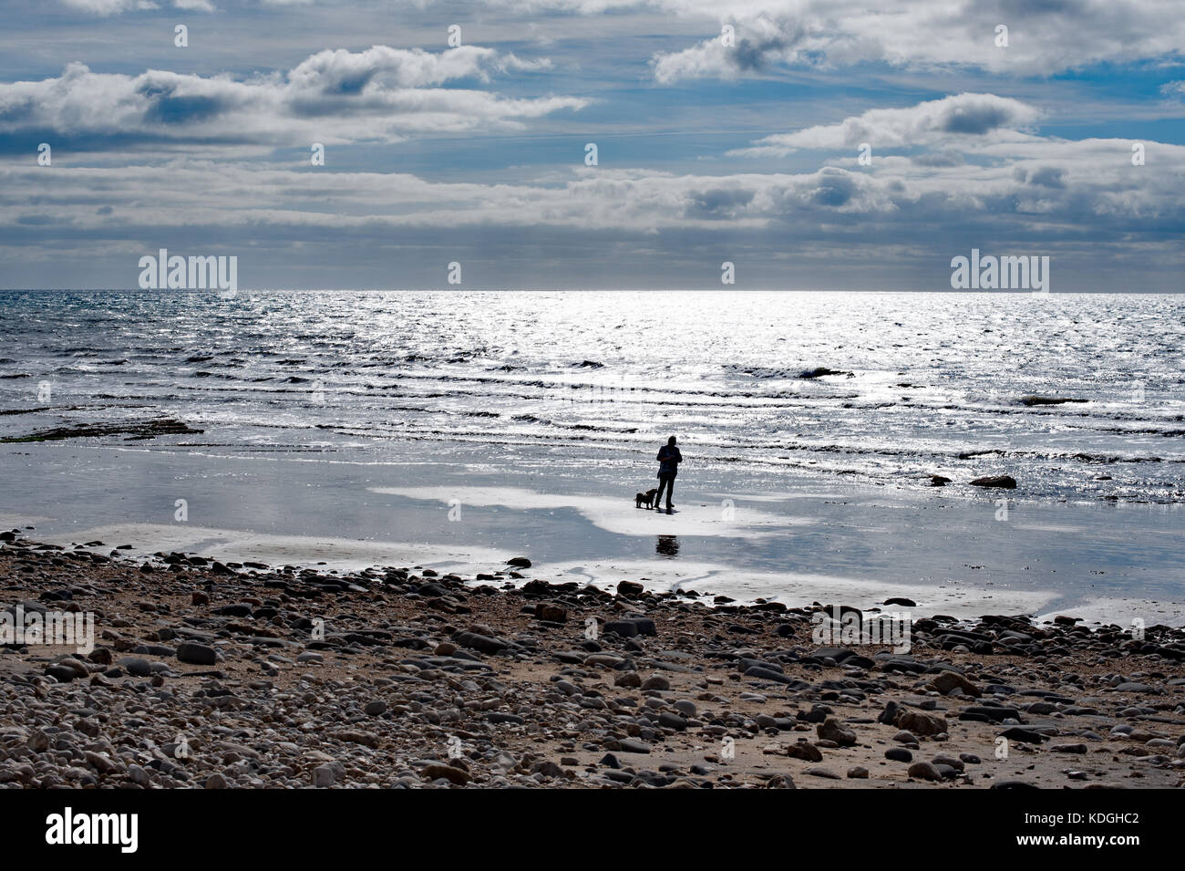 Man and dog on the beach at Charmouth, Dorset. Stock Photo