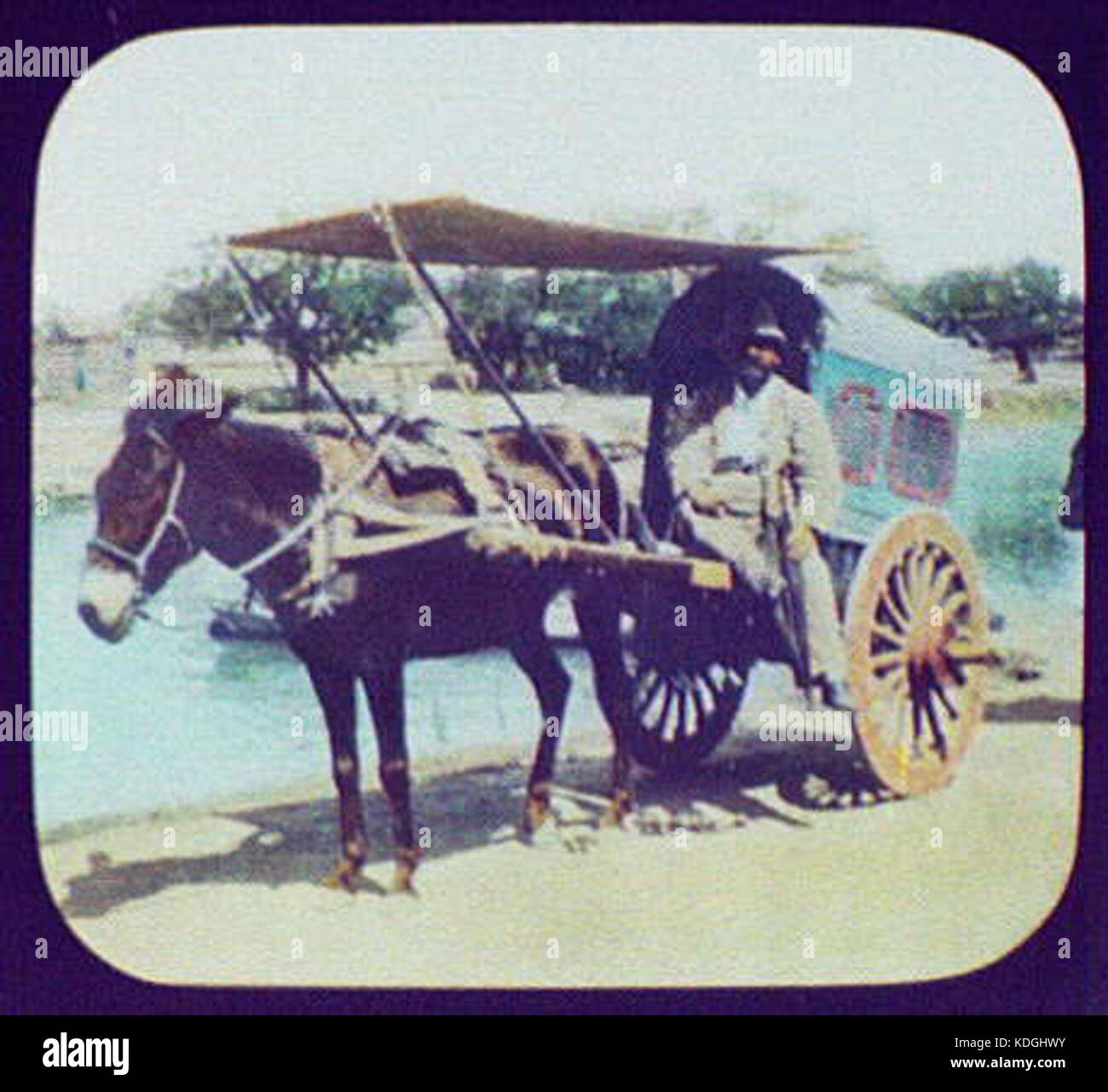 Peking   Pangborn seated on horsedrawn cart LCCN2004707956 Stock Photo